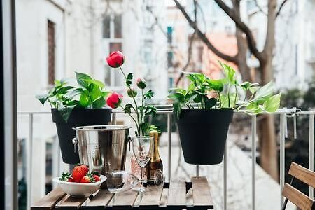 Flores Home باري المظهر الخارجي الصورة